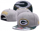 NFL Green Bay Packers snapback-45