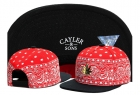 Cayler&Sons snapback-404