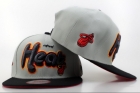 NBA Miami heats-305