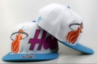 NBA Miami heats-317