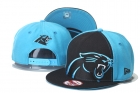 NFL Carolina Panthers hats-53