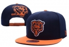 NFL Chicago Bears Snapback-58