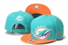 NFL Miami Dolphins snapback-83