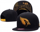 NFL Arizona Cardinals hat-39