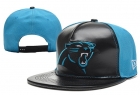 NFL Carolina Panthers hats-58