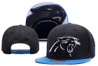 NFL Carolina Panthers hats-60