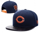 NFL Chicago Bears Snapback-60