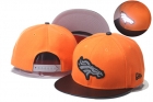 NFL Denver Broncos snapback-176