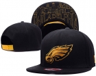 NFL Philadelphia Eagles hats-61