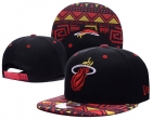 NBA Miami heats-340