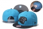 NFL Carolina Panthers hats-62