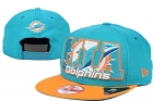 NFL Miami Dolphins snapback-89