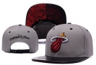 NBA Miami heats-342