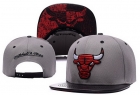 NBA BULL snapback-633