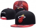 NBA Miami heats-345