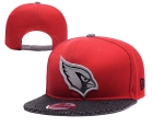 NFL Arizona Cardinals hat-41