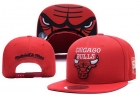 NBA BULL snapback-652