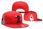 NBA BULL snapback-663