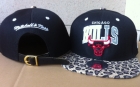 NBA Chicago Bulls Snapback-701