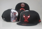 NBA Chicago Bulls Snapback-709