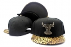 NBA Chicago Bulls Snapback-722