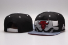 NBA Chicago Bulls Snapback-724