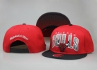 NBA Chicago Bulls Snapback-726