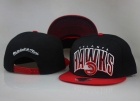 NBA Atlanta hawks snapback-82