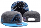 NFL Carolina Panthers hats-72