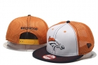 NFL Denver Broncos snapback-190