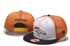 NFL Denver Broncos snapback-190