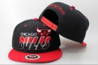 NBA Chicago Bulls Snapback-734