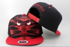 NBA Chicago Bulls Snapback-736