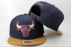 NBA Chicago Bulls Snapback-740