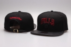 NBA Chicago Bulls Snapback-795