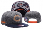 NFL Chicago Bears Snapback-63