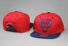 NBA Chicago Bulls Snapback-798