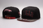 NBA Chicago Bulls Snapback-802