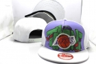 NBA Larkers Snapback-206