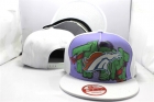 NFL Denver Broncos snapback-193