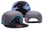 NFL Carolina Panthers hats-74