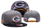 NFL Green Bay Packers snapback-62