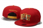 NBA Miami Heat Snapback-366