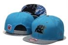 NFL Carolina Panthers hats-79