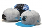 NFL Carolina Panthers hats-80
