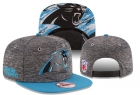 NFL Carolina Panthers hats-81