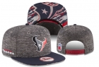 NFL Houston Texans hats-64