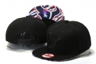 NFL Houston Texans hats-65