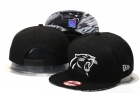 NFL Carolina Panthers Snapback-82