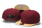 NBA Miami Heat Snapback-373